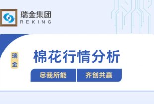 棉花行情分析