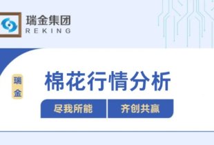 棉花行情分析