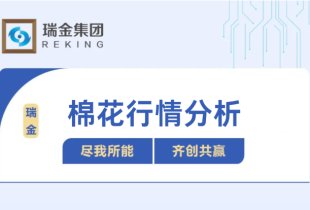 棉花行情分析