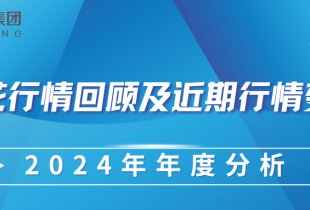 2024 年棉花行情回顧及近期行情變化