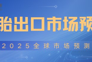 2025全球輪胎出口市場預測