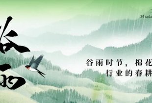 谷雨時節，棉花與橡塑行業的春耕與挑戰